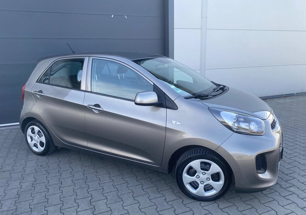 Kia Picanto cena 27950 przebieg: 130800, rok produkcji 2016 z Nowogrodziec małe 667